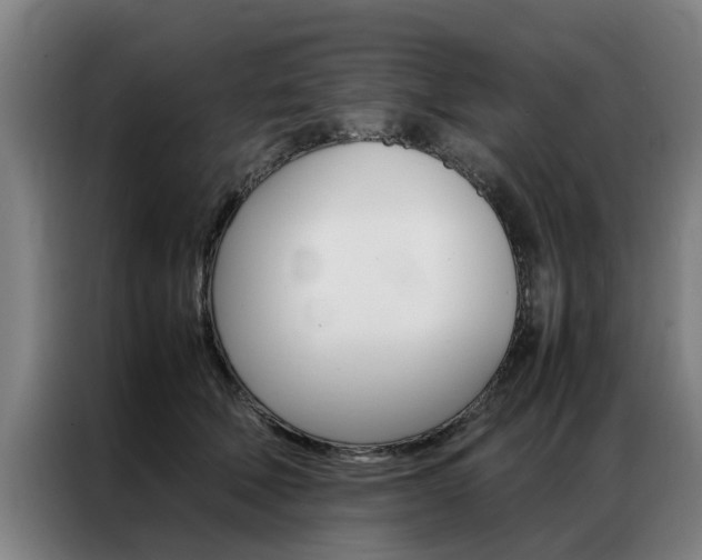 X0000087310610200704200719