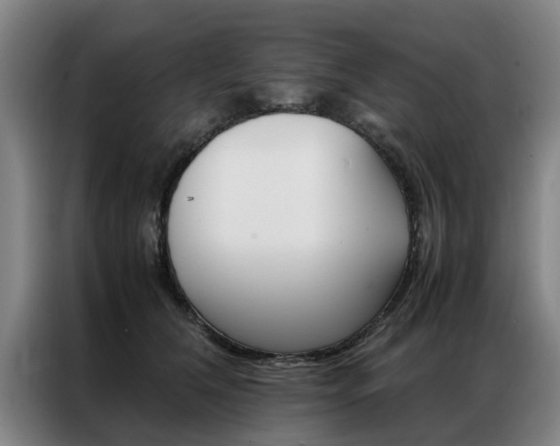 X0000087310612200704200719