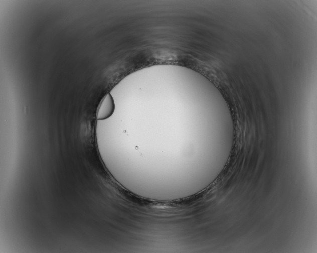 X0000087310614200704200719
