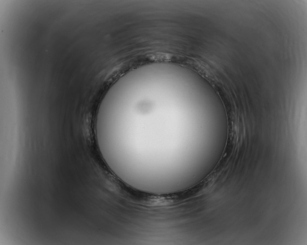 X0000087310616200704200719