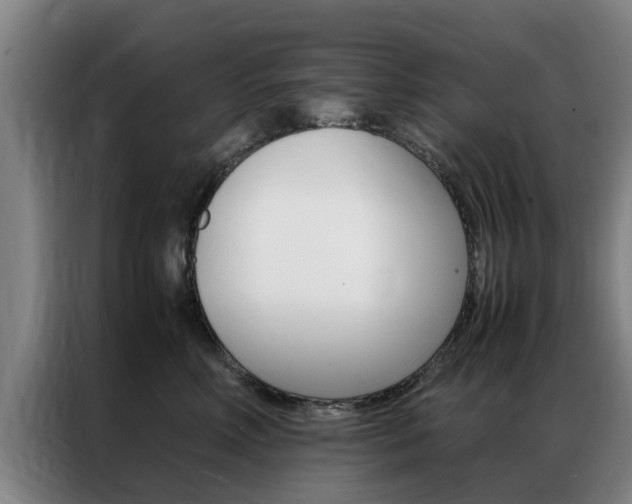 X0000087310618200704200719