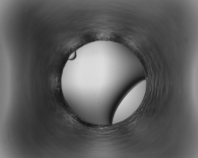 X0000087310619200704200719