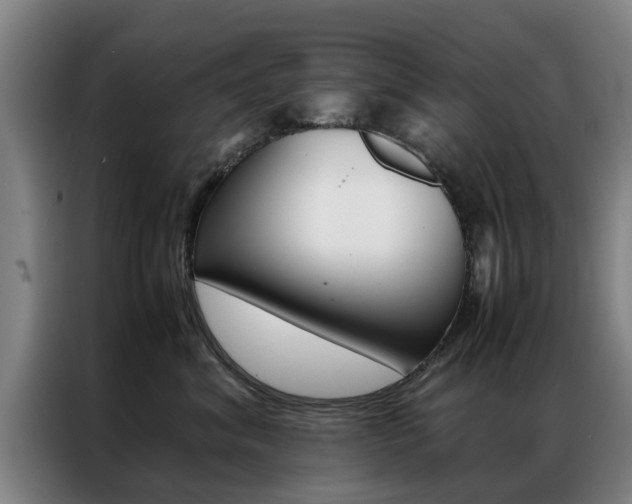 X0000087310620200704200719
