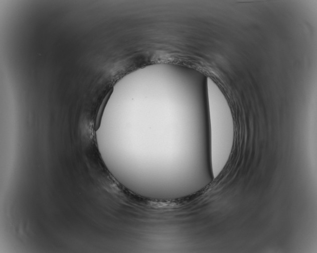 X0000087310621200704200719