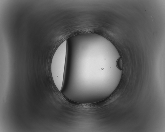X0000087310624200704200719