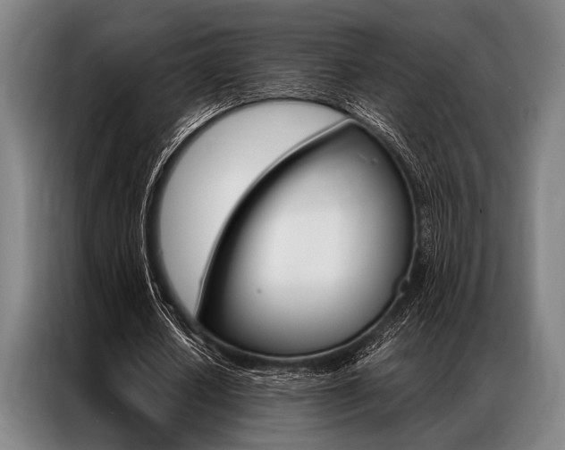 X0000087310626200704200718