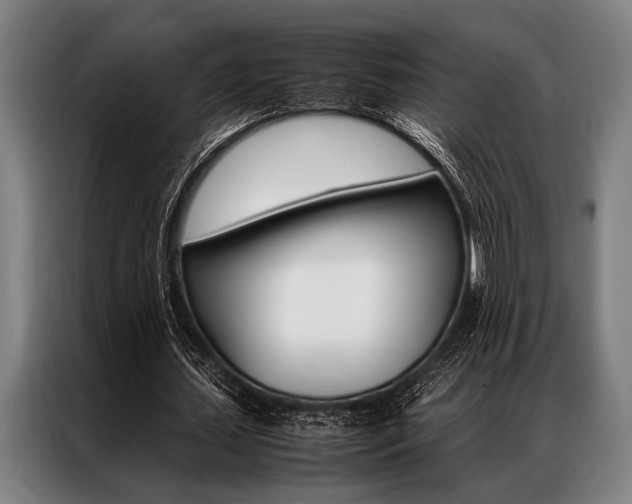 X0000087310627200704200718