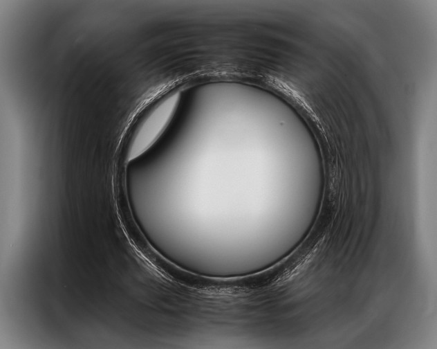 X0000087310629200704200718