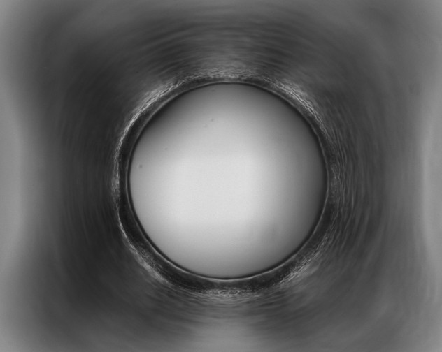 X0000087310630200704200719