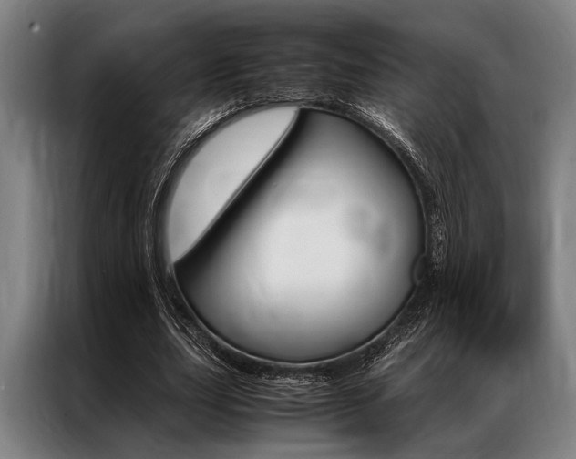 X0000087310631200704200719