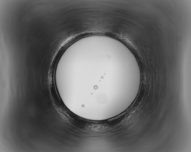 X0000087310632200704200719