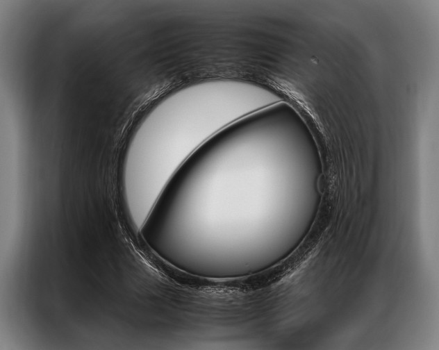 X0000087310633200704200719