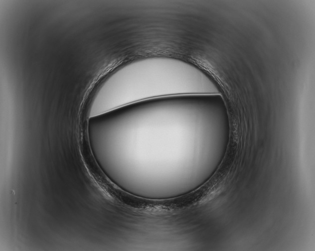 X0000087310634200704200719