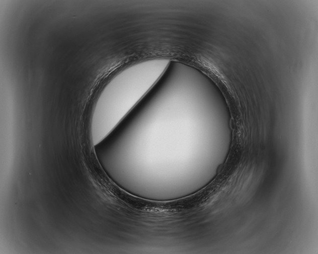 X0000087310635200704200719