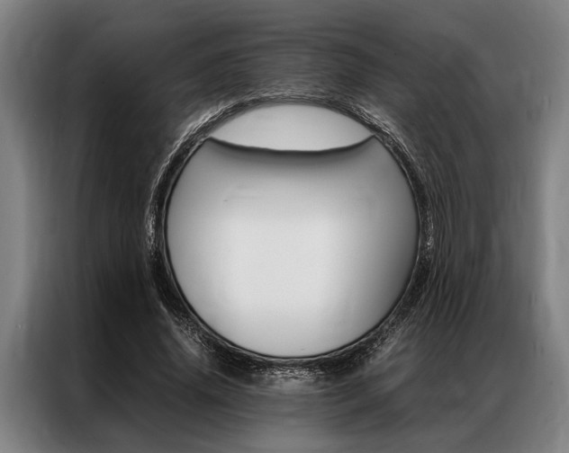 X0000087310636200704200719