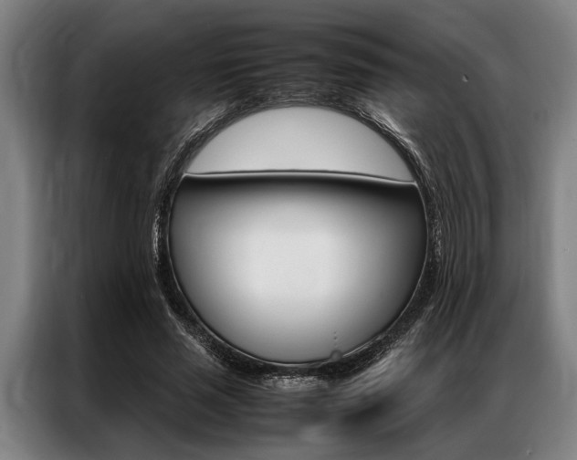 X0000087310637200704200719