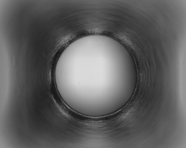 X0000087310638200704200719