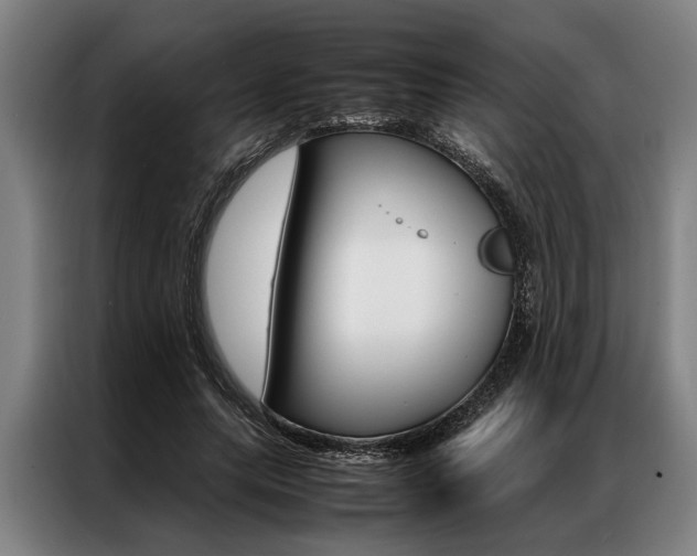 X0000087310639200704200719