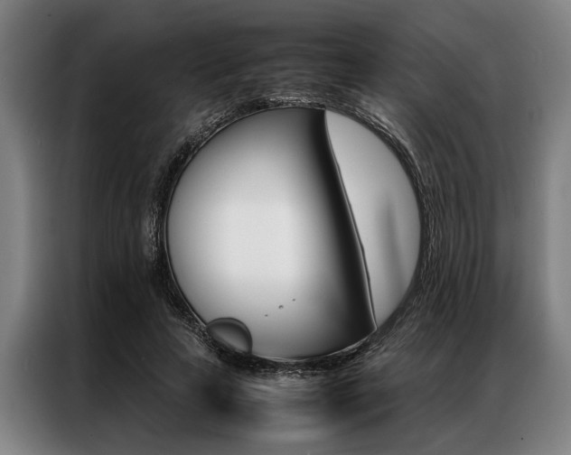 X0000087310641200704200719