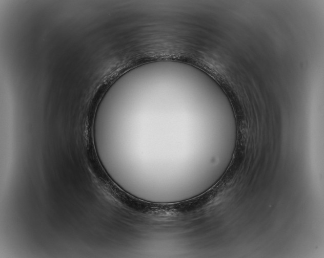 X0000087310642200704200719