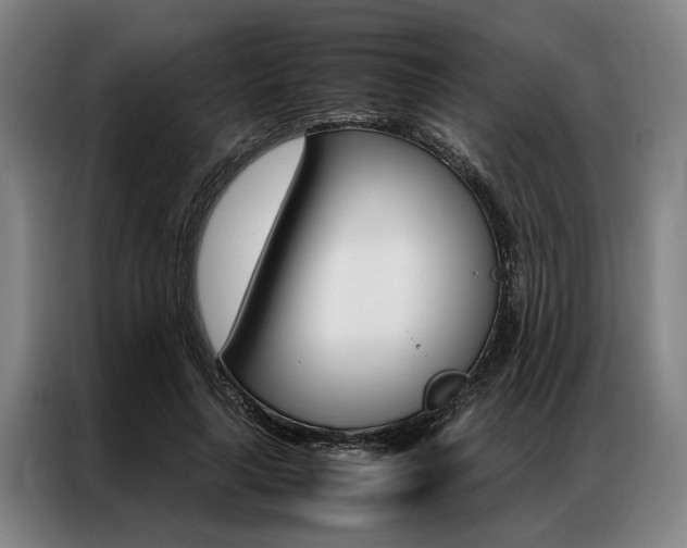 X0000087310643200704200719