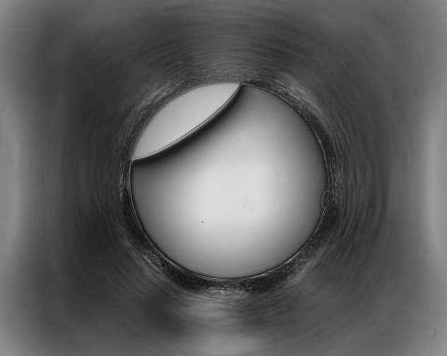 X0000087310644200704200719