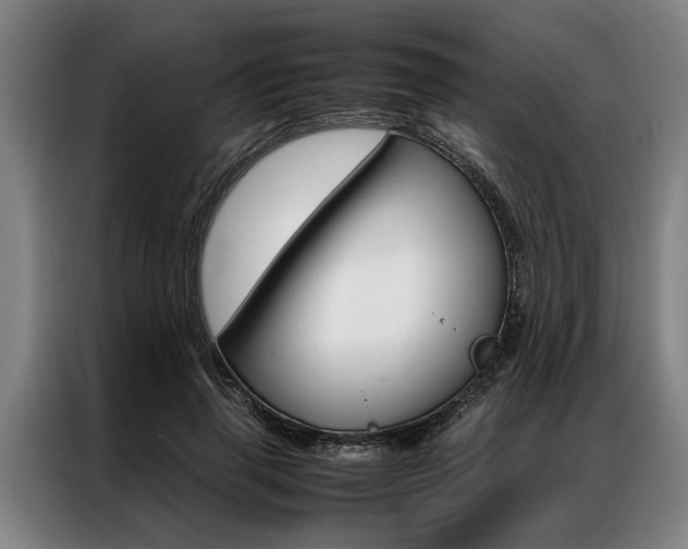 X0000087310645200704200719
