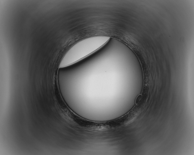 X0000087310646200704200719