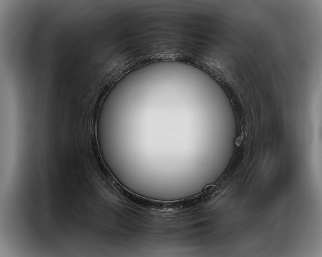 X0000087310647200704200719