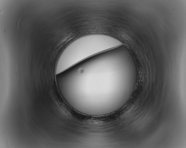 X0000087310648200704200719