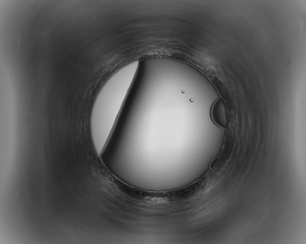 X0000087310649200704200719