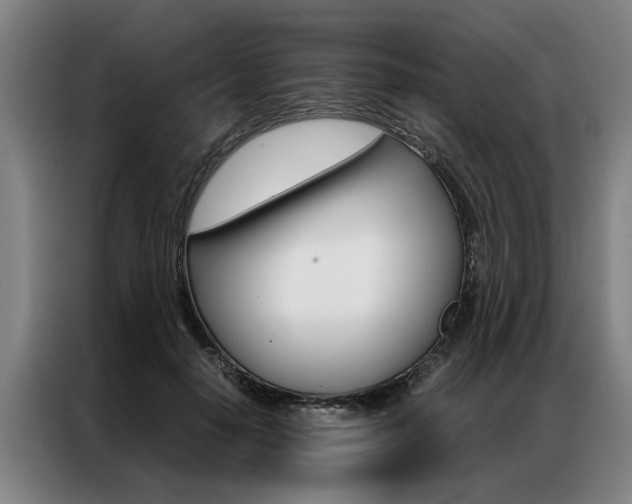 X0000087310650200704200719