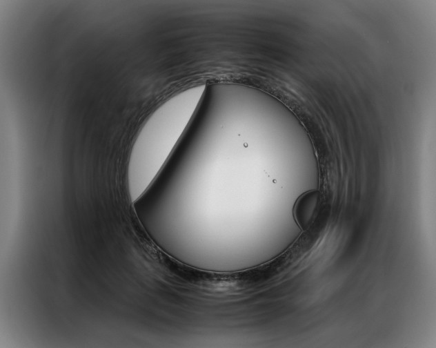 X0000087310651200704200719