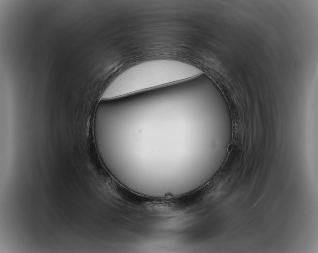 X0000087310652200704200719
