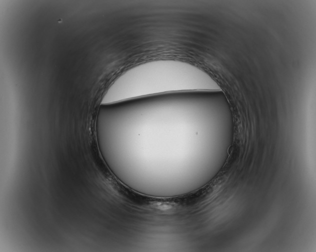 X0000087310654200704200719