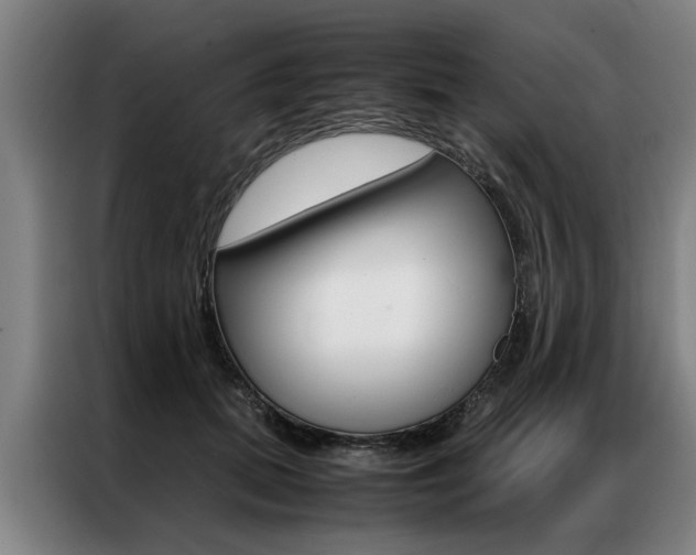 X0000087310655200704200719