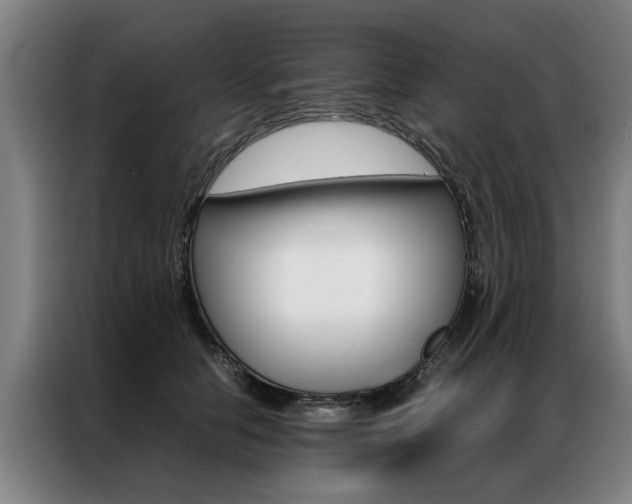 X0000087310658200704200719