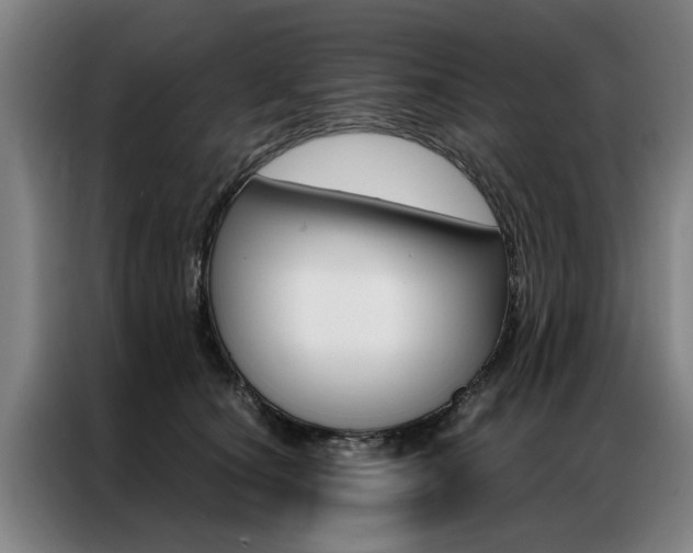 X0000087310660200704200719
