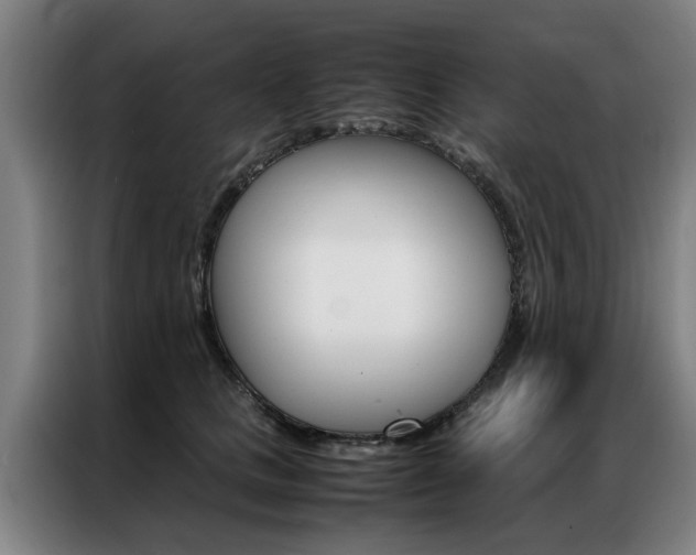 X0000087310661200704200719