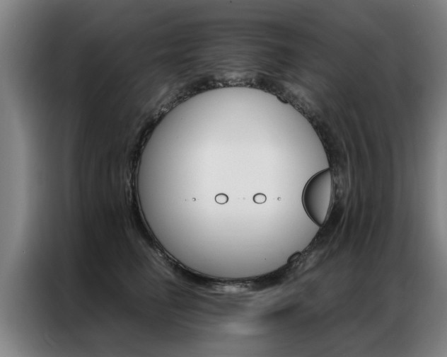 X0000087310662200704200719