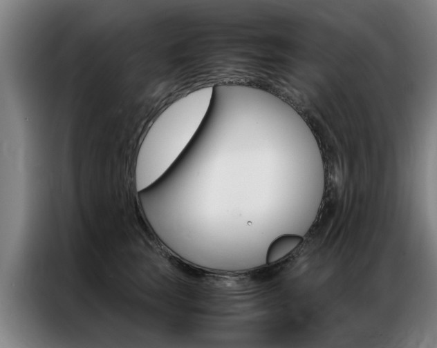 X0000087310663200704200719