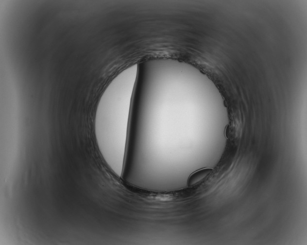 X0000087310665200704200719