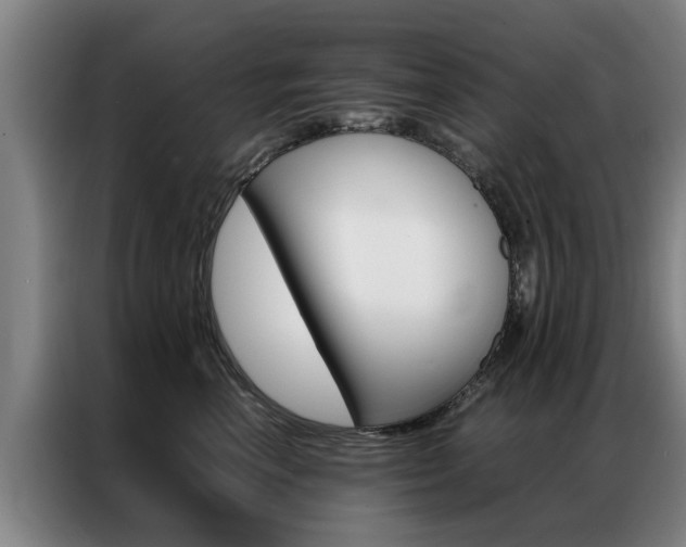 X0000087310666200704200719