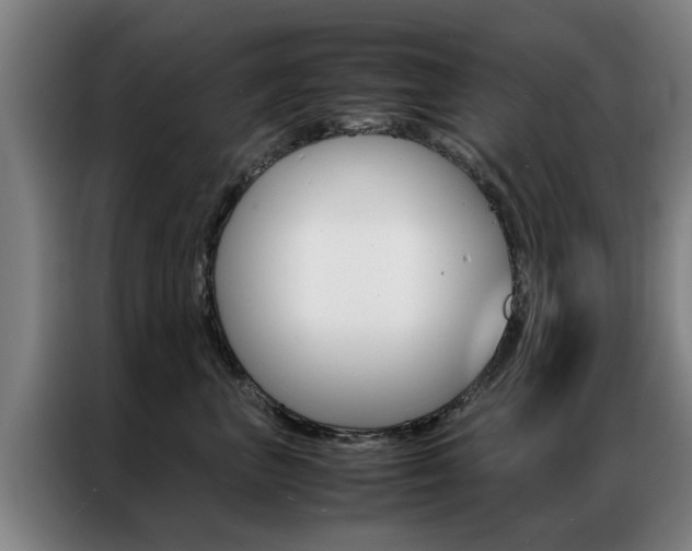 X0000087310667200704200719
