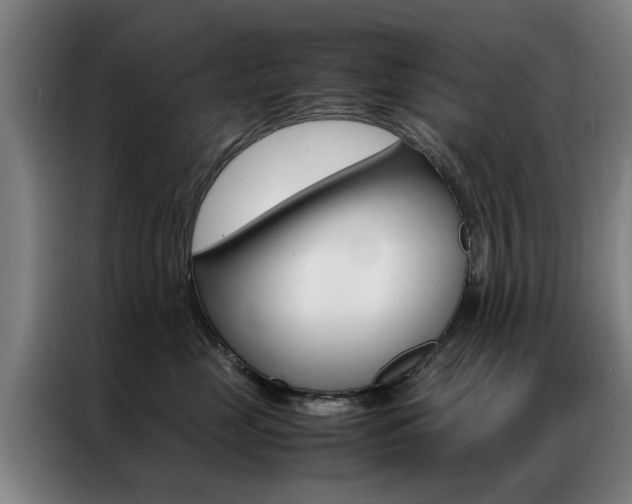 X0000087310669200704200719