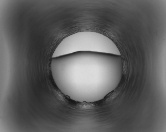 X0000087310670200704200719