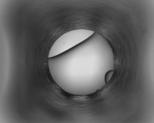 X0000087310671200704200719