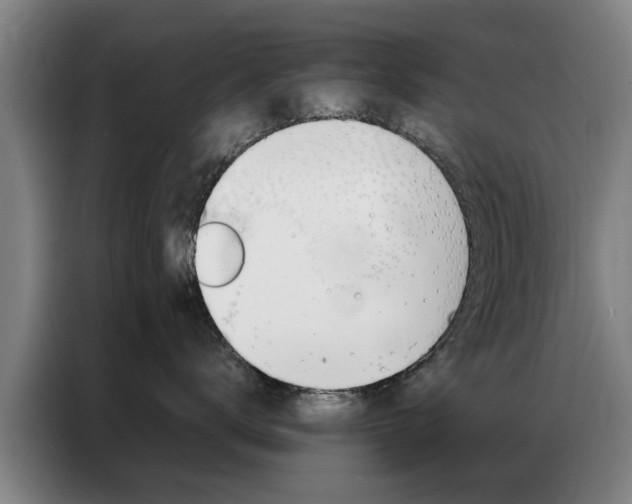 X0000087310672200704200719
