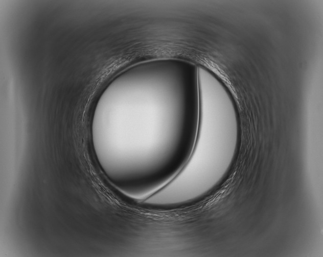 X0000087310673200704200718