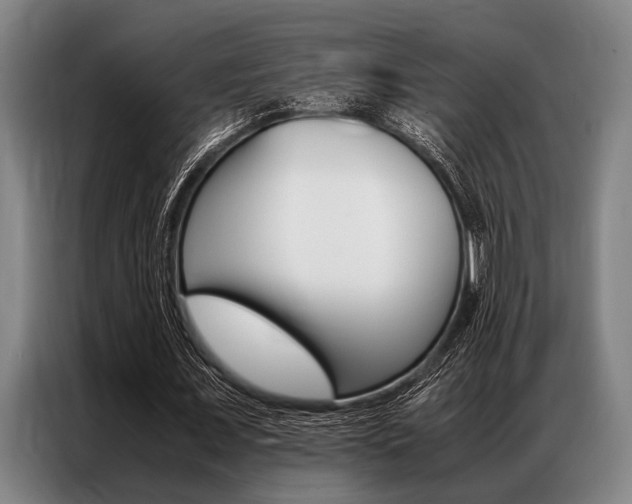 X0000087310675200704200718